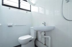 Blk 677 Hougang Avenue 8 (Hougang), HDB 3 Rooms #628390101